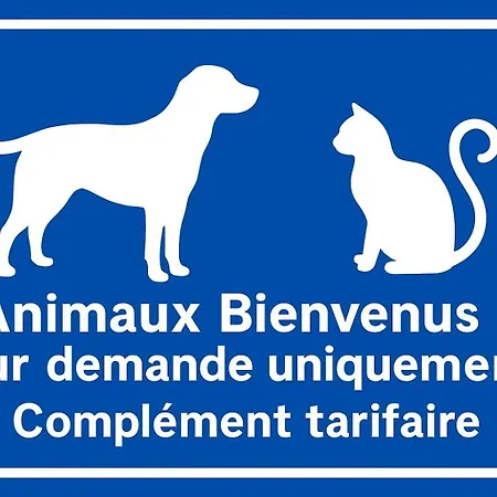 Appartement Au Coeur De Dieppe, Au Puits Sale By Holidieppe Dieppe